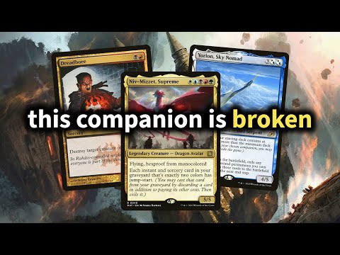 Can Yorion Niv to Light Take Over Pioneer?