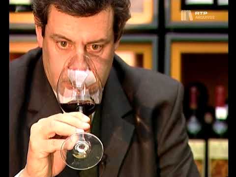 "Nuno Lacerda Lopes" | Programa