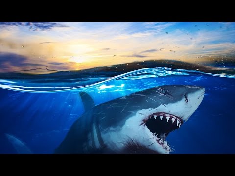 Subnautica | Part 1 | SCREW THE OCEAN!!