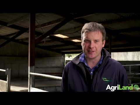 Alan Dillon explains the importance of good-quality silage