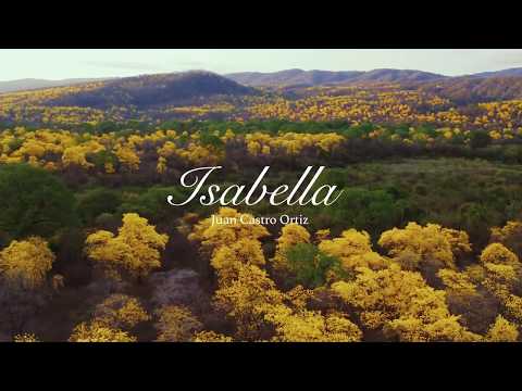 Juan Castro Pianista - Isabella- (Video Oficial)
