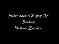 Brahms : Intermezzo opus 117 n ° 2 - Le Cap / Afrique du Sud