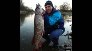 preview picture of video 'Taakie ryby ze Sławatycz. Pike, zander from the Bug river. Monster river fish.'
