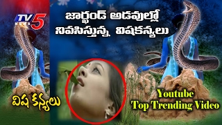 Unbelievable Poison Girls (విష కన్యలు) Still Exist ! | Visha Kanya - Unbelievable Stories | TV5 News