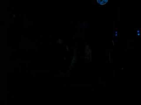 Synthetic Forest @ Brotzeit/Berlin // May 2012// part.2