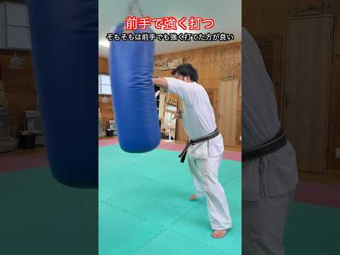 【武道・格闘技】牽制やフェイントに使用される前手の突きを仕留める道具にする方法！解説！！　#aikido ＃karate #martial #武道 #空手＃合気道＃筋トレ#selfdefens