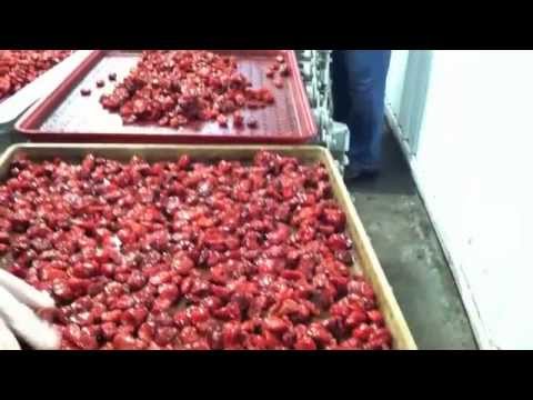 It's a Cherryland's Best Christmas