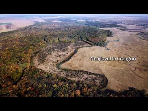 Neajlovul la Cranguri