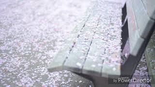 마틴스미스 (Martin Smith) - 봄 그리고 너 (Paint on Spring) [sub. español]