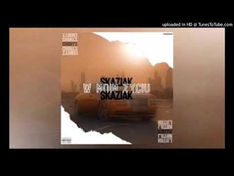 skaziak ft.cheatz , LataN - w moim życiu