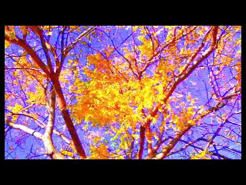 Прощай, речь - Trailer