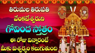 TIRUMALA VENKATESWARA SWAMY GOVINDA STOTRAM | LATEST SRI VENKATESWARA TELUGU BHAKTI SONGS 2021 | DOWNLOAD THIS VIDEO IN MP3, M4A, WEBM, MP4, 3GP ETC