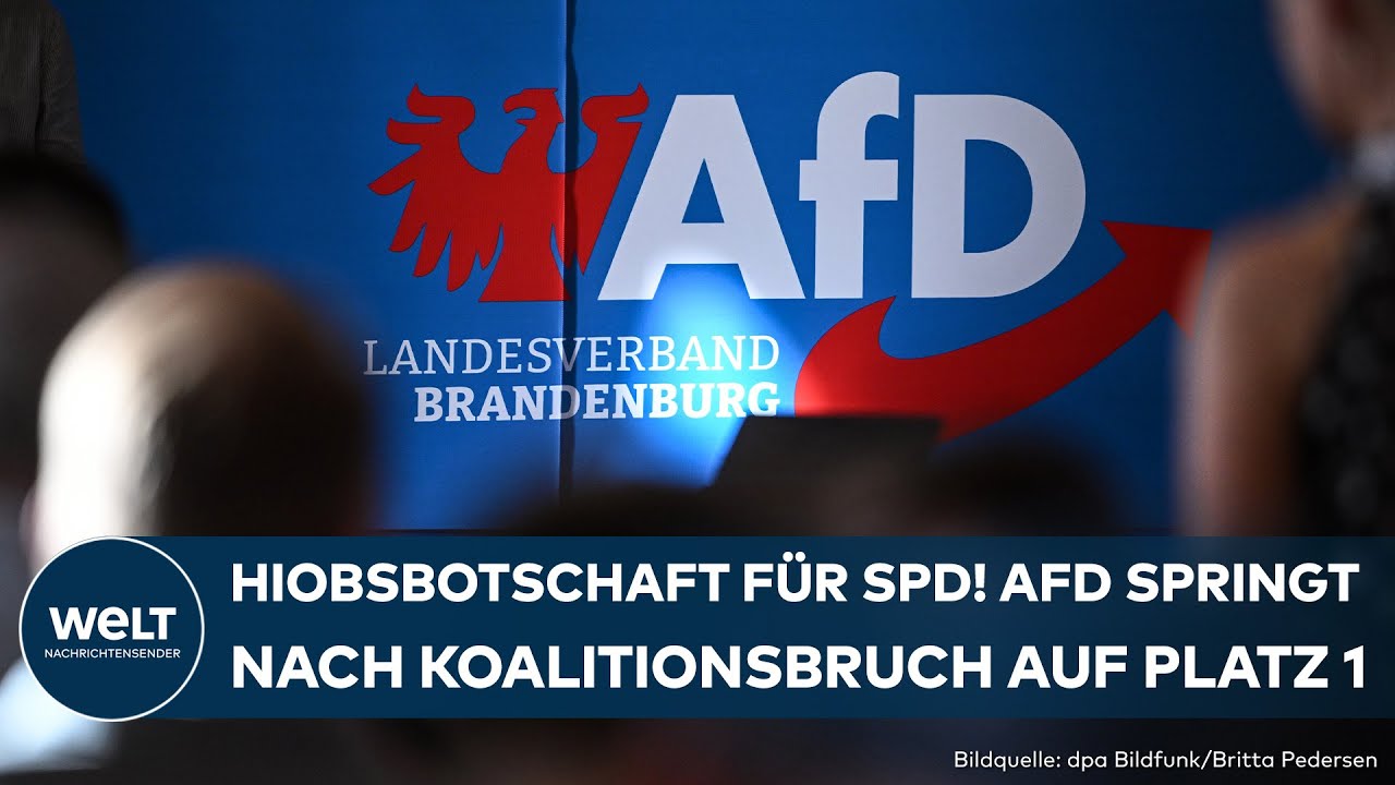 BRANDENBURG: Umfragehammer nach Koalitionsbruch! SPD fällt weit hinter AfD