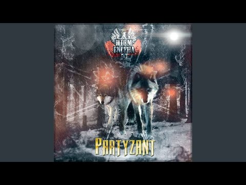 Ślepia otwarte szeroko