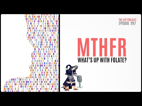 MTHFR - What's Up With Folate? The ATP Project 297