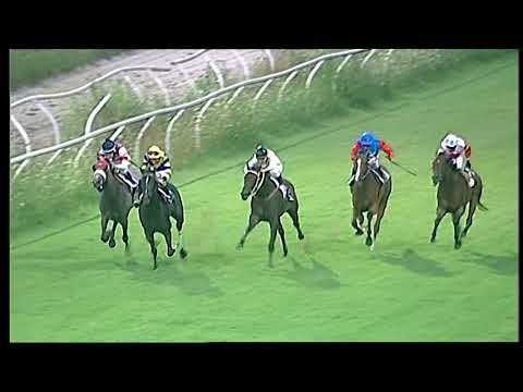 Napoli Galoppo 07/08/2021 - 4ª corsa