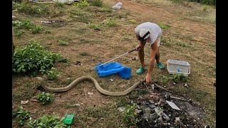 Thumbnail del capítulo