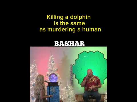 Bashar -Killing a dolphin is the same as murdering a human.