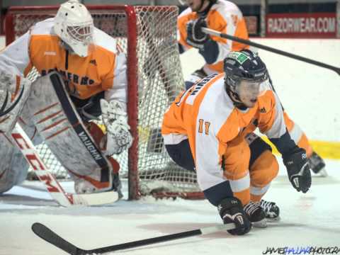 Hockey masculin | 2013 |  AL Sports