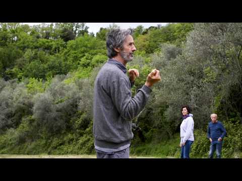 Franco Bottalo | Tai Yi Shen Gong