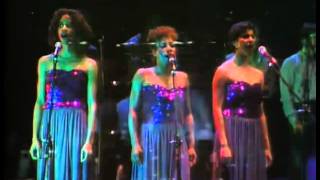 Michel Sardou   Vivant 83   Un roi barbare