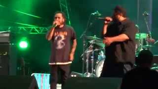 Planet Hemp - Dig Dig Dig (Hempa) [13.06.2015]