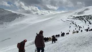 Happy New Year From Taste Tibet