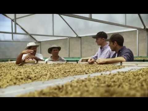 Café Campos - Café de Qualidade Cultivado pelo Bem