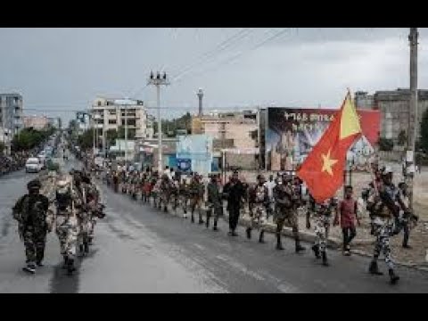 How the Tigray defense force is winning