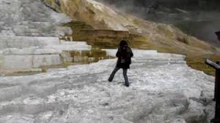 preview picture of video 'Yellowstone Park - Illegally Walking off boardwalk at Mammoth Hot Springs'