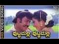 Puttmalli Puttamalli - Putnanja - HD Video Song | Ravichandran | Meena | Mano | Chithra | Hamsalekha