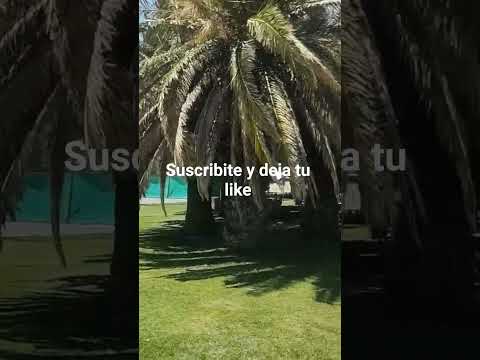 Predio Club Atlético Adelia María Córdoba