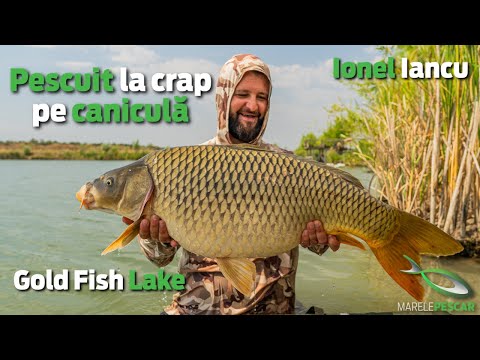 Pescuit la crap pe canicula - Gold Fish Lake - Ionel Iancu | MarelePescar
