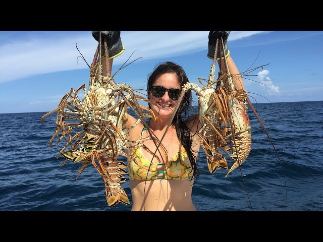 Snorkeling and Lobstering- Ft Lauderdale, Florida's Most Beautiful Reefs!