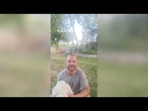 Agence Swivo &bull; Expert Web Design & Image de Marque video.