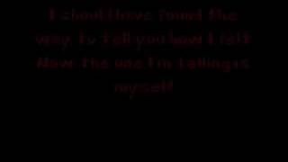 Words I Couldn&#39;t Say- Leighton Meester  (w/lyrics)