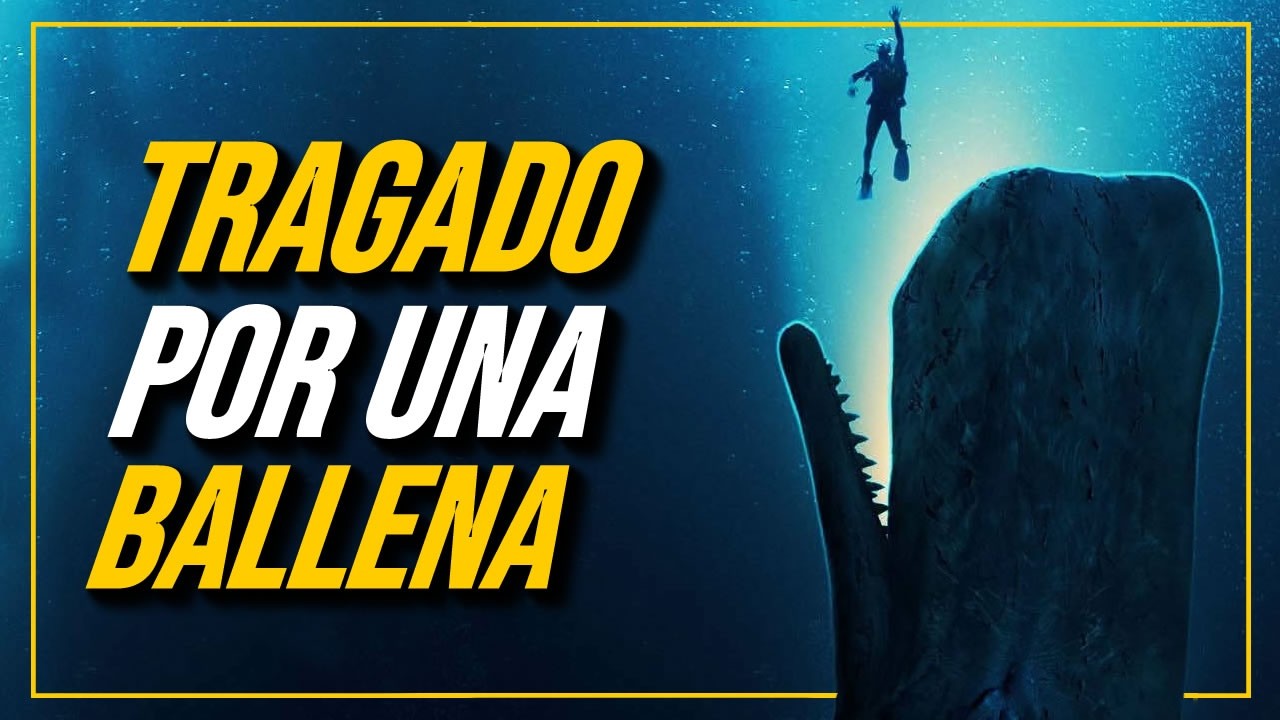 OPINIÓN HONESTA: LA CAÍDA DE LA BALLENA