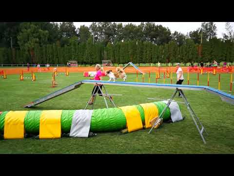 IX. Szigetköz Kupa - Lia Open Agility