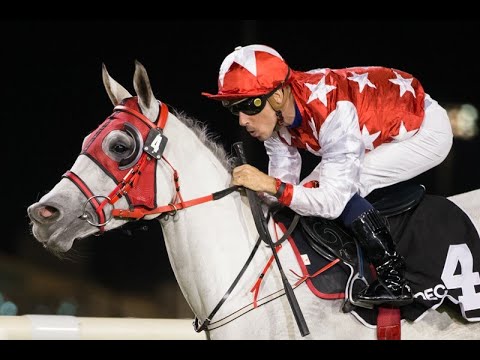 Abu Dhabi 15.12.19 Race 3