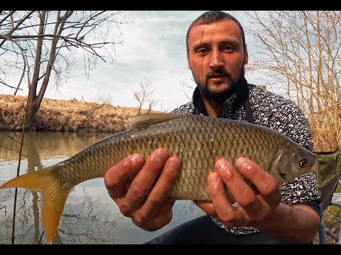 "Prvo Pecanje na Travu u 2025:Kapitalna plotica i ona koja je pobjegla!"