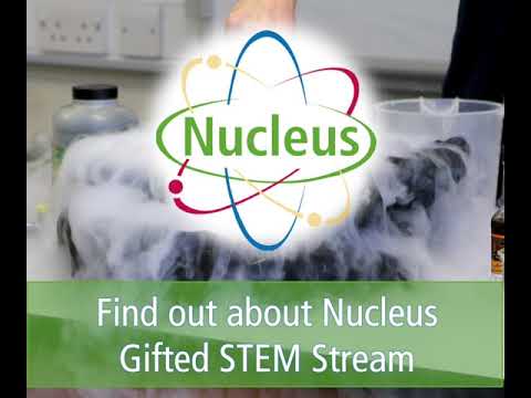 Nucleus Gifted STEM Stream - unique to Northampton Academy
