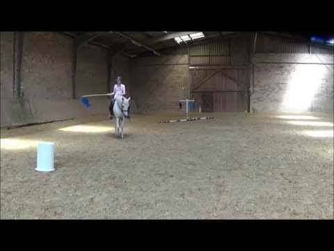 Ponyspiele Teil IV   Fische angeln