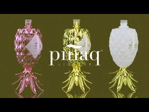 REBUSCHI STUDIO LLC video.