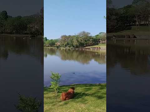 30/09/25, Renascença, PR.#turismo #viagem #paraná #renascença