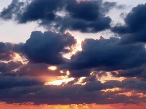 Aafje Heynis: Erbarme Dich, mein Gott (Matthäus-Passion) by Bach