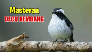 Download lagu Masteran Decu Kembang Tledekan Sulingan Agar Cepat Gacor mp3