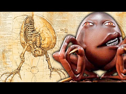 Egg of the Perfect World Anatomy – Why it Looks Like a Behelit! How it Messed Up the God Hand’s Plan