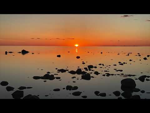 Marek Sadam ja Robert Fox - Sellel suvel Sind ei leidnudki