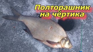 Ловля леща зимой рыбалка лещ зима