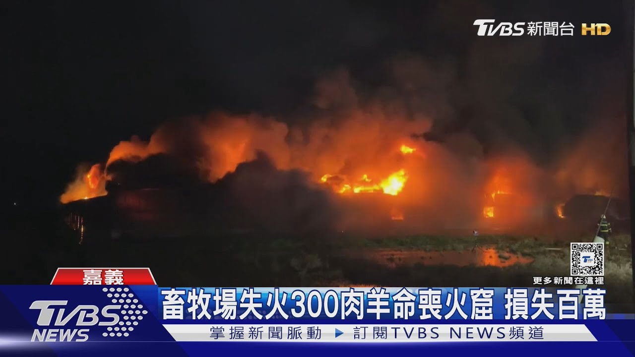 畜牧場失火300肉羊命喪火窟損失百萬 飼主嘆:不養了